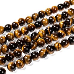 Chapelets de perles d'œil de tigre naturel, Grade a, ronde, 8mm, Trou: 1mm, Environ 48 pcs/chapelet, 15 pouce