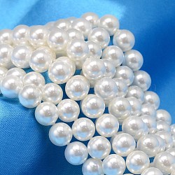 Redondo shell hebras de abalorios de perlas, blanco, 10mm, agujero: 0.8~1 mm, aproximamente 40 pcs / cadena, 15.74 pulgada