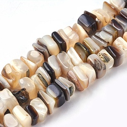 Shell perle d'acqua dolce fili, chip quadrato, colore conchiglia, 8~11x6~8x2~5mm, Foro: 0.6 mm, 15.7~15.9 pollice (40~40.5 cm)