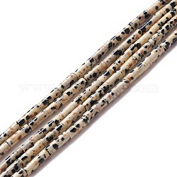Chapelets de perles en jaspe dalmatien naturelle, colonne, 9~10.5x3mm, Trou: 0.9~1mm, Environ 40~43 pcs/chapelet, 15.35 pouce ~ 15.55 pouces (39~39.5 cm)