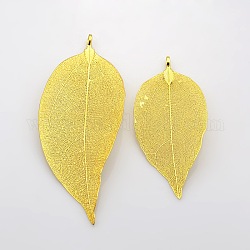 Grandi pendenti in ottone placcatura in foglia naturale, oro, 50~95x20~60x0.6mm, Foro: 3.5 mm