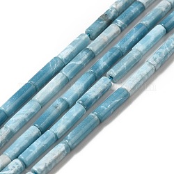 Fili di perline di gemstone naturale, imitazione larimar, tinto, colonna, cielo blu, 13x4mm, Foro: 1 mm, circa 29pcs/filo, 15.08 pollice (38.3 cm)