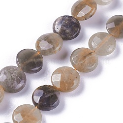 Brins de perles de sunstone noirs naturels, facette, plat rond, 10.2~10.5x4~5mm, Trou: 1mm, Environ 37 pcs/chapelet, 14.7 pouce (37.4 cm)