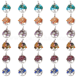 HOBBIESAY 10 Sets 6 Styles Natural & Synthetic Mixed Stone Chip Pendants, Tree of Life Charms, with Antique Silver Tone Alloy Findings, 18.5x15.5~16x4~5mm, Hole: 5mm, 1pc/style, 6pcs/set