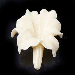 Perles de corail synthétiques, teinte, fleur, beige, 31~32x23~24x9mm, Trou: 1mm