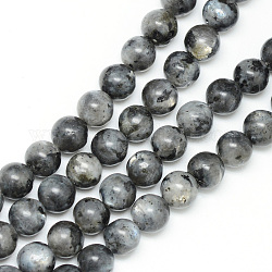 Brins de perles de larvikite naturelles, ronde, 6mm, Trou: 1mm, Environ 65 pcs/chapelet, 15.7 pouce