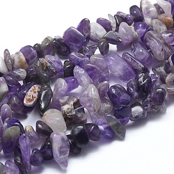 Grade AB Natural Amethyst Beads Strands, Chips, 8~12x8~12mm, Hole: 1mm, about 31.5 inch