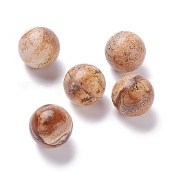 Picture naturelles perles de jaspe, pas de trous / non percés, pour création de fil enroulé pendentif , ronde, 20mm