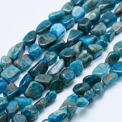 Chapelets de perles en apatite naturelle, pierre roulée, pépites, 5~12x4~9mm, Trou: 1mm, 15.7 pouce ~ 15.9 pouces (40~40.5 cm)