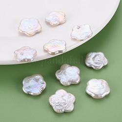 Perlas de perlas naturales keshi, perla cultivada de agua dulce, sin agujero / sin perforar, flor, color de concha, 18~21x18~21x4~5mm