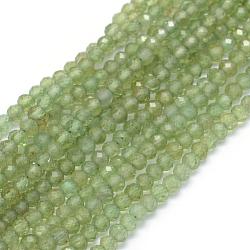 Natürliche Apatit Perlen Stränge, facettiert, Runde, 3~3.5 mm, Bohrung: 0.5 mm, ca. 137 Stk. / Strang, 15.35 Zoll (39 cm)