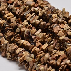 Natural Picture Jasper Chip Beads Strands, 3~5x3~5mm, Hole: 1mm, about 34 inch