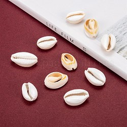Perle naturali di conchiglia di ciprea, con smalto, Senza Buco / undrilled, colore conchiglia, 20~26x13~18x5~7mm