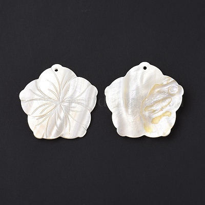 Pendentifs de coquillages d'eau douce naturelle&nbsp;SHEL-H001-04-1