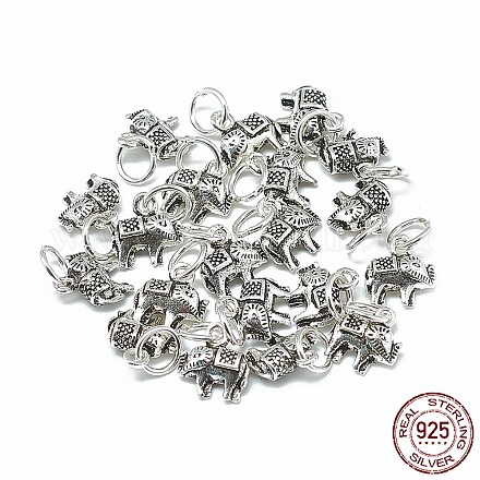 Thailand 925 Sterling Silver Charms STER-T002-05AS-1