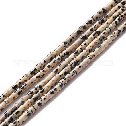 Natur Dalmatiner Jaspis Perlen Stränge G-A201-B12-1