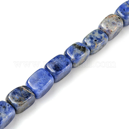 Natural Sodalite Beads Strands G-F743-02I-1