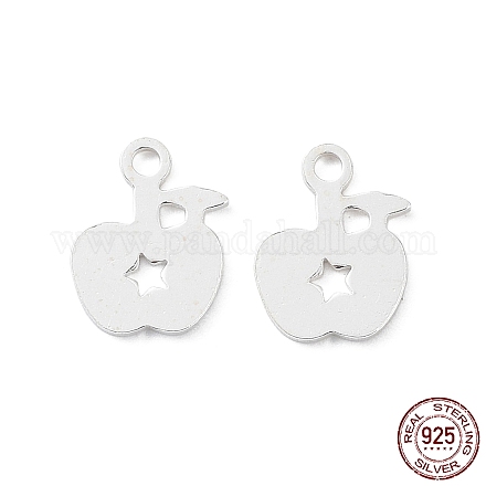 925 Sterling Silver Charms STER-F053-04S-1