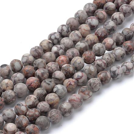 Chapelets de perles maifanite/maifan naturel pierre  G-T055-10mm-01-1