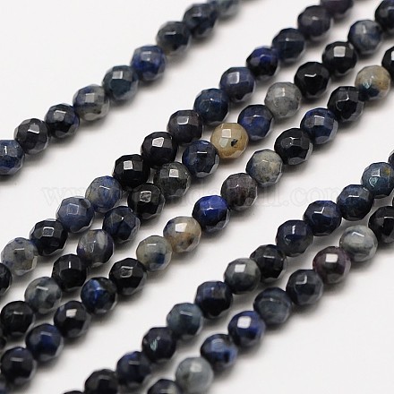 Natural Gemstone Sodalite Faceted Round Beads Strands G-A129-3mm-24-1