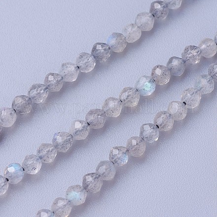 Chapelets de perles en labradorite naturelle  G-F619-15-3mm-1