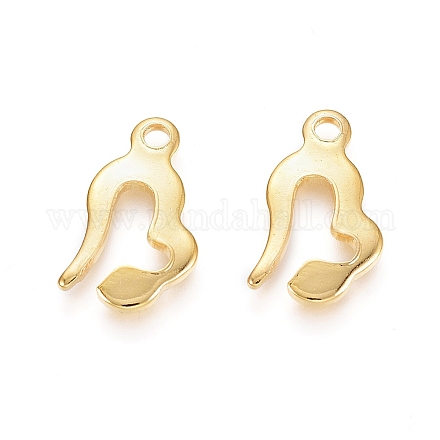 201 Stainless Steel Charms STAS-I123-10G-1