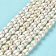 Natural Cultured Freshwater Pearl Beads Strands PEAR-E016-068-2