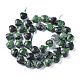 Natural Rudy in Zoisite Beads Strands G-E560-T01-2