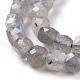 Natural Labradorite Beads Strands G-D0003-B10-3