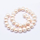 Electroplate Shell Pearl Beads Strands BSHE-G006-04O-2