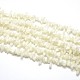 Shell normal de perles blanches de brins BSHE-O001-B-02-1