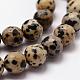Natural Dalmatian Jasper Beads Strands G-D840-49-10mm-3