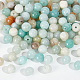 Nbeads 2 Strands Natural Flower Amazonite Beads Strands G-NB0004-46-4