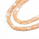 Fili di perle di conchiglia trochid naturale / trochus SHEL-N003-26-B06-3