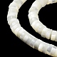 Fili di perline di conchiglia trochus naturale BSHE-E030-09A-01-4