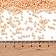 Выпечка краска стеклянные бусины X-SEED-S042-05B-80-4