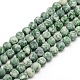 Gefrostet natürlichen grünen Fleck Jaspis Runde Perlenstränge G-M064-4mm-10-1