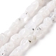 Natural Rainbow Moonstone Beads Strands G-A208-12-2