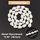 NBEADS 1 Strand about 35 Pcs 8mm Natural Shell Beads BSHE-NB0001-25-2