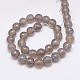 Natural Grey Agate Beads Strands G-G580-10mm-08-2