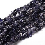 Natural Cordierite/Iolite/Dichroite Chip Beads Strands, 5~14x4~10mm, Hole: 1mm, about 15.5 inch~16.1 inch
