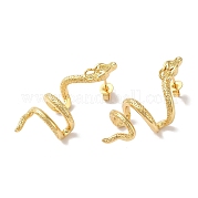 Серьги-гвоздики из змеиной латуни EJEW-P281-02G