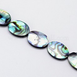 Natur Paua Muschel Perlen Stränge&nbsp;SSHEL-J047-14B-01