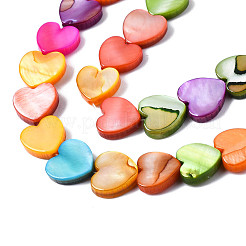 Hebras naturales de cuentas de concha de agua dulce&nbsp;X-SHEL-S278-024A