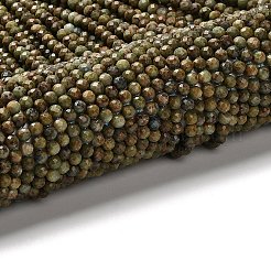 Natürliche afrikanische türkis (jasper) perlen stränge&nbsp;G-RM2025524-A02-4mm