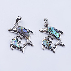 Colgante de concha de abulón / concha de paua&nbsp;X-SSHEL-L008-11P