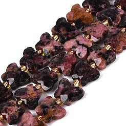 Perline Rhodonite naturale fili&nbsp;G-N371-10A-05