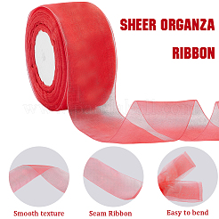 1 rotolo di nastro di organza trasparente&nbsp;SRIB-CY0001-22C-05