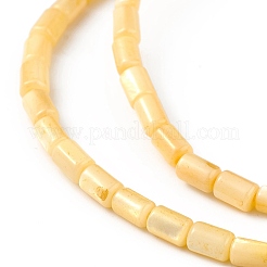 Fili di perline tinti in conchiglia naturale d'acqua dolce&nbsp;SHEL-M018-12