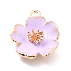Pendentifs d'émail en alliage&nbsp;ENAM-E361-01KCG-05